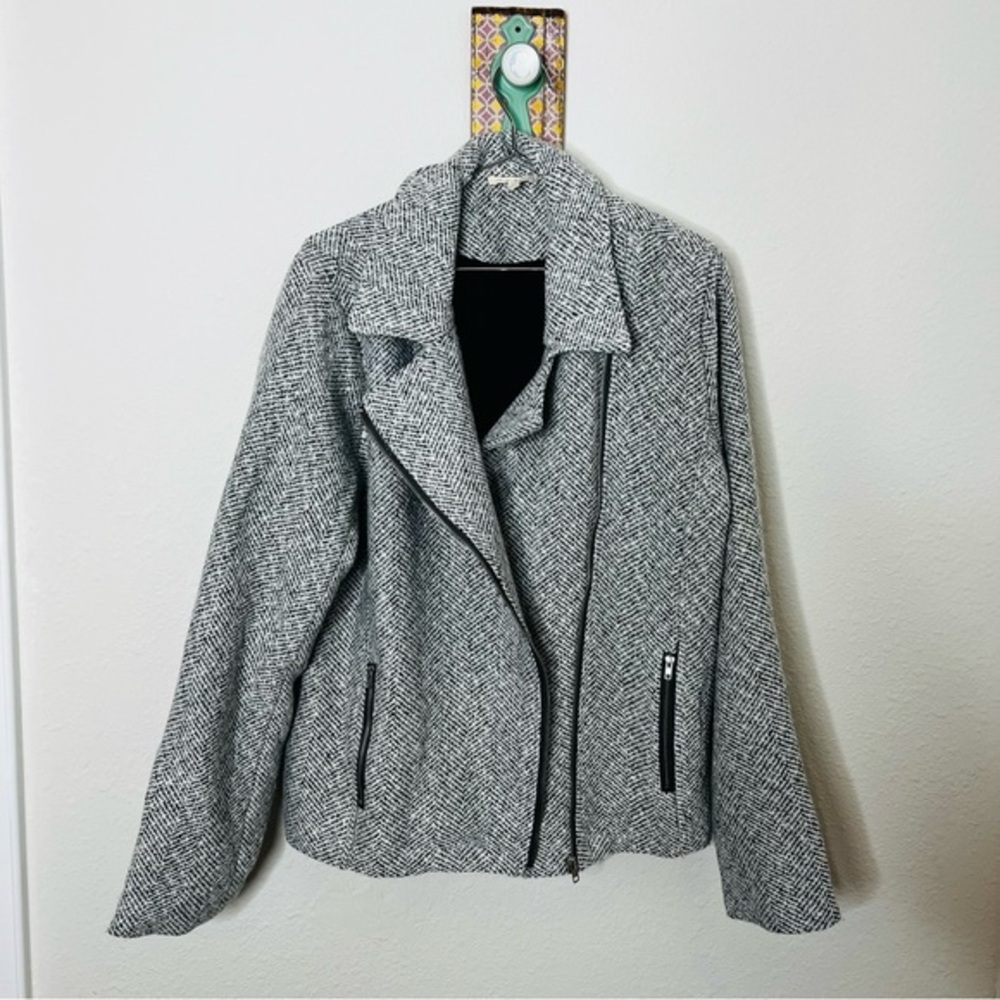 Mystree Gray Blazer Jacket